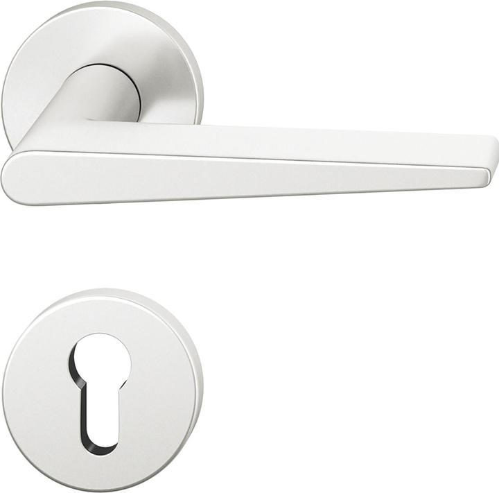 FSB Drückergarnitur 12 1005 ASL auf Rosette PZ, Aluminium silber eloxiert (Türgarnitur)