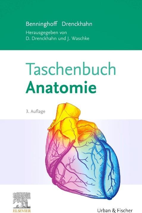 Produktbild Taschenbuch Anatomie (Deutsch, Drenckhahn, Beninghoff, 2020)