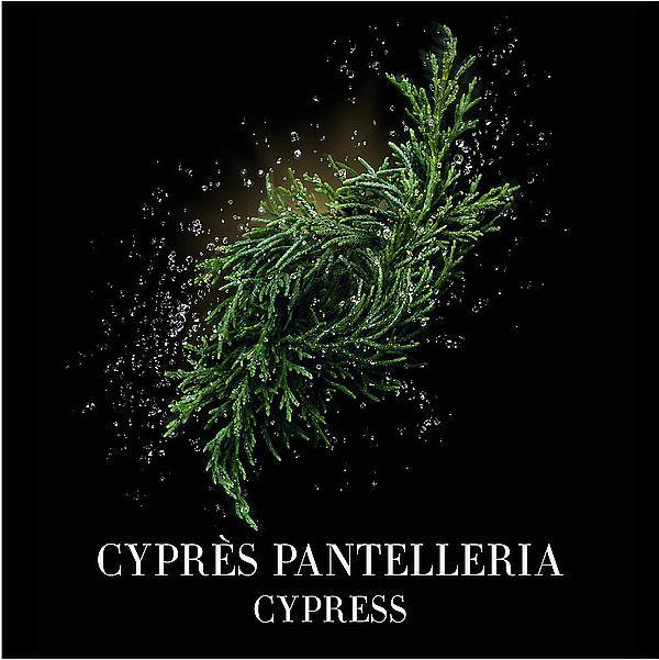 Produktbild Giorgio Armani Cyprès Pantelleria (Eau de Toilette, 100 ml)