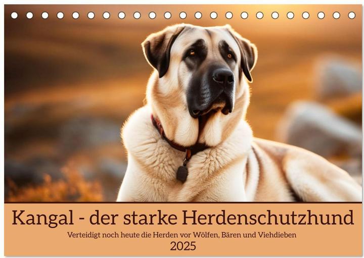 Produktbild Kangal - der starke Herdenschutzhund (Tischkalender 2025 DIN A5 quer), Monatskalender (A5, Deutsch)