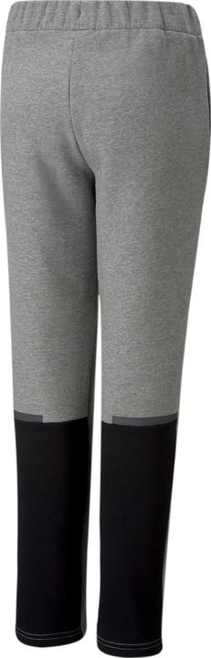 Actual product image Puma teamCUP Casuals Pants Jr (128)