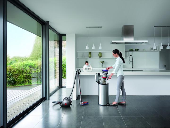 Image du produit Dyson Big Ball Parquet 2