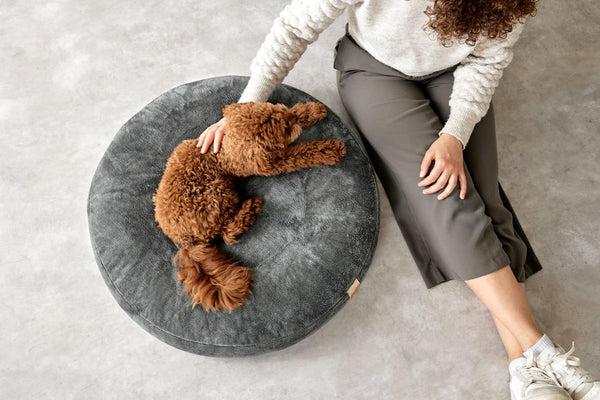 Actual product image Palopa Dog bed Donut Fippa anthracite S (Dog)