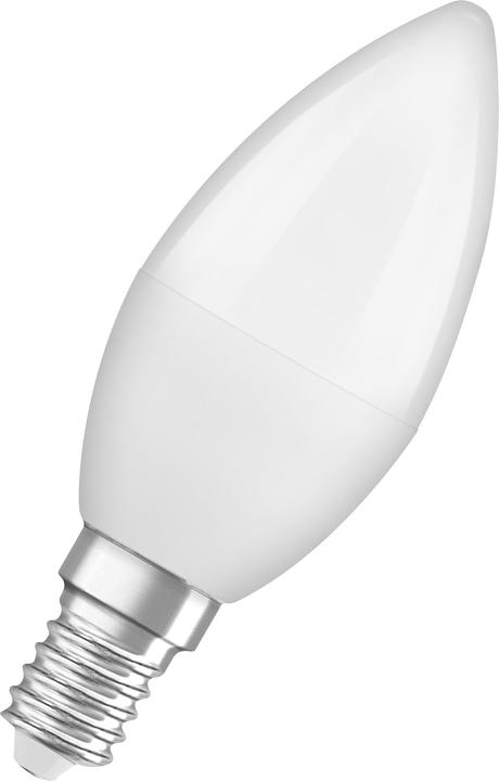 Neutral White