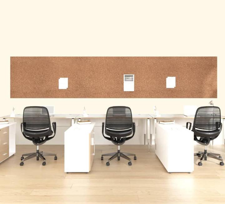 Image du produit VidaXL Raynard (Tableau d'affichage, 100 x 500 cm)