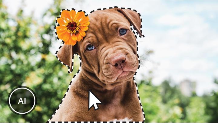 Actual product image Adobe Photoshop Elements 2023/2023/German/Multiple Platforms/Retail/1 User (1 User, unlimited)
