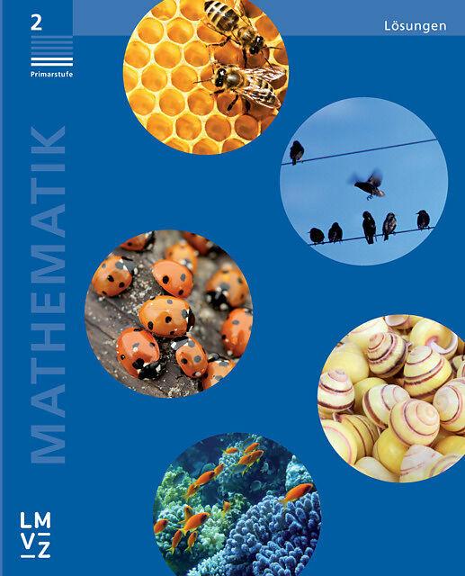 Actual product image Mathematik 2 Primarstufe / Lösungen (German, Team of authors)