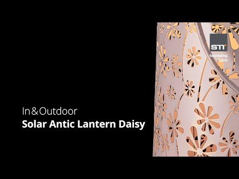 Produktbild STT Daisy