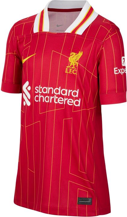 Nike FC Liverpool Kinder Trikot (158, 164, 170)