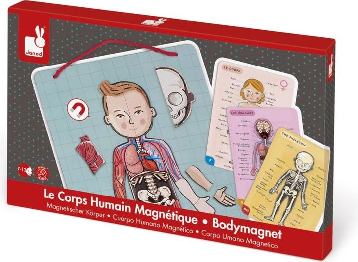 Actual product image Janod Magnetic body (German, English, French, Italian, Spanish)
