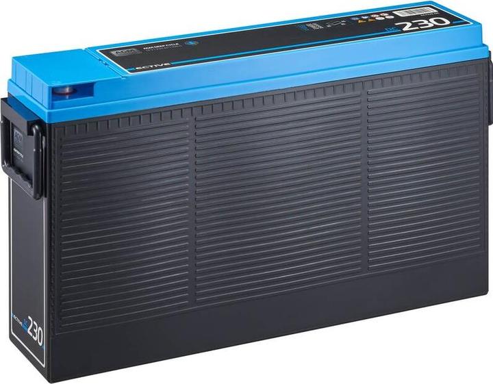 Actual product image Ective AGM battery 230Ah 12V Deep Cycle Slim Front Terminal supply battery supply battery (12 V, 230 Ah)