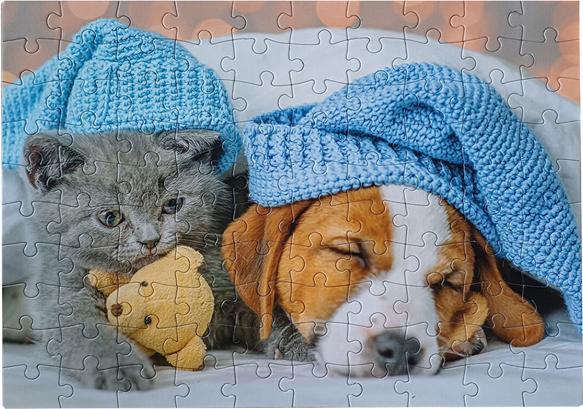 Immagine prodotto Selecta Spielzeug Puzzle con gattino e cane addormentato, 100 pezzi. (100 pezzi)