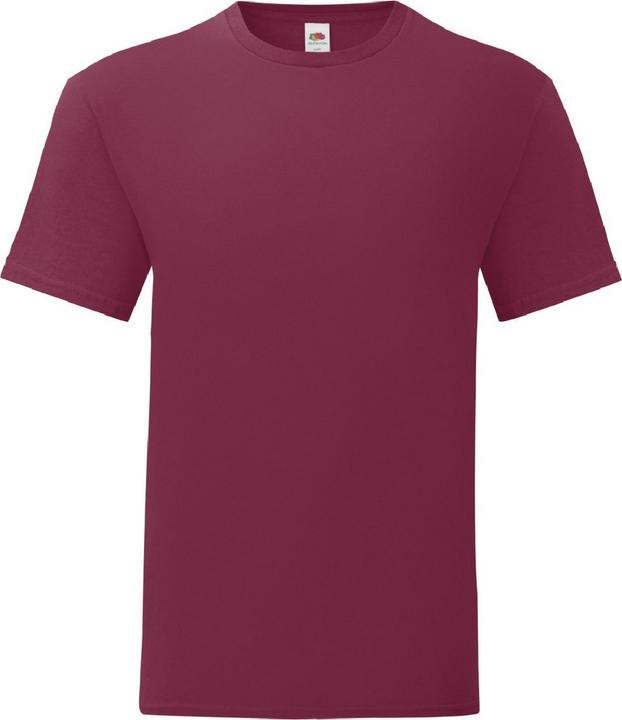 Fruit of the Loom Iconic 150 TShirt
