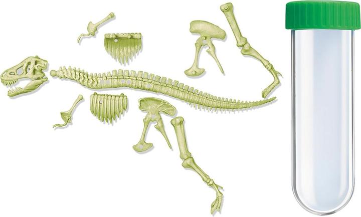 Immagine prodotto 4M Scheletro luminoso di T-Rex (Tedesco, Francese, Inglese)