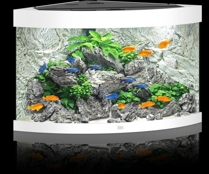 Immagine prodotto Juwel Aquarium Acquario Trigon 190 98.5x59.5x70cm bianco (190 l)