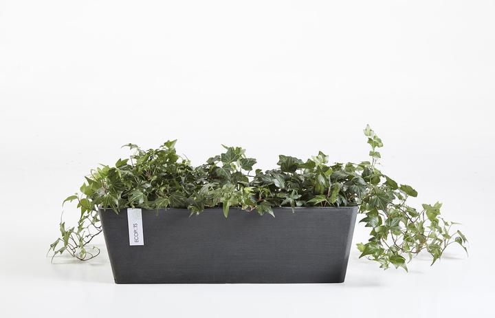 Image du produit Ecopots Bruges (80 cm)