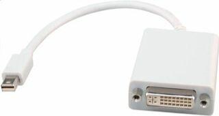 Actual product image LMP Mini DisplayPort to (DVI, 15 cm)