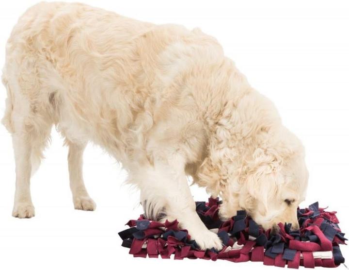 Produktbild Trixie Activity Schnüffelteppich (Beschäftigungsspielzeug Hund)
