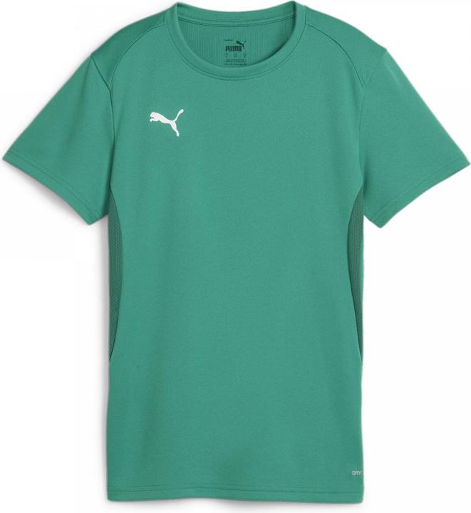 Image du produit Puma teamGOAL Jersey Wmn (S)