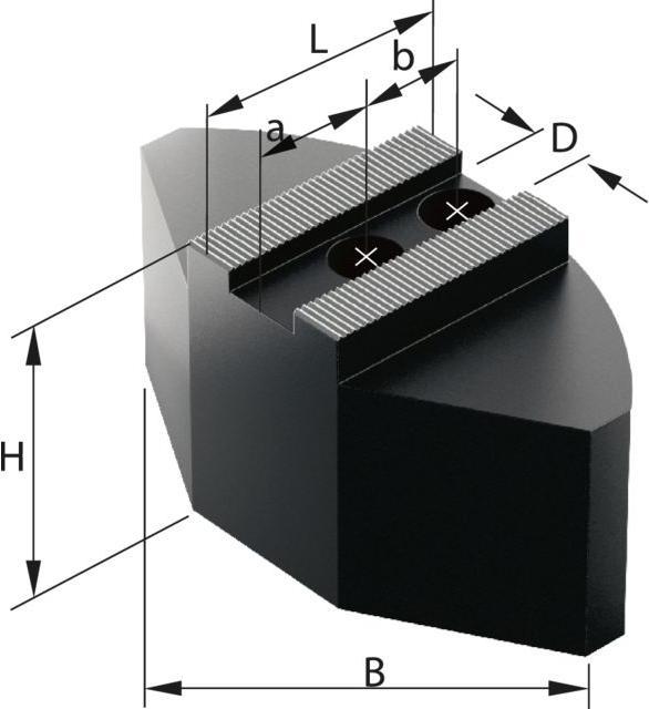 Image du produit Schunk Jeu de 3 mors à segments, Acier