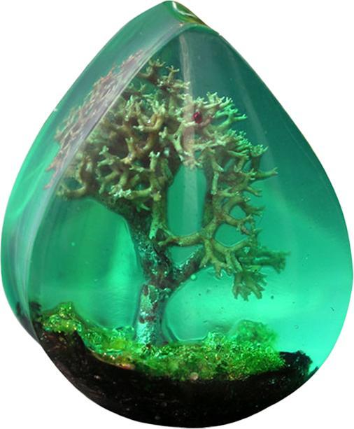 Produktbild Star Piercing Flared Plug Tropfen Baum der Träume Epoxy grün (ohne Messing, Organisch)