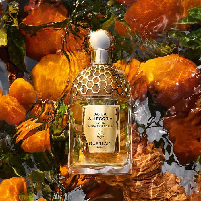 Produktbild Guerlain Aqua Alegoria Forte (Eau de Parfum, 75 ml)