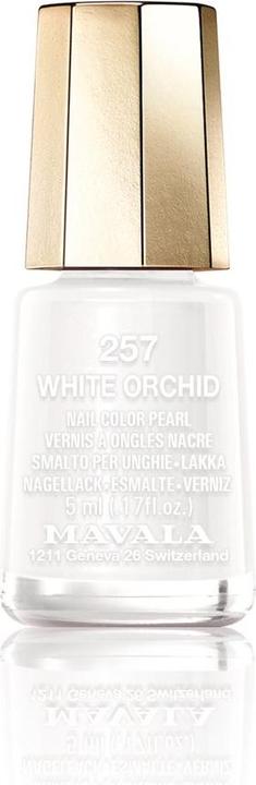 White Orchid