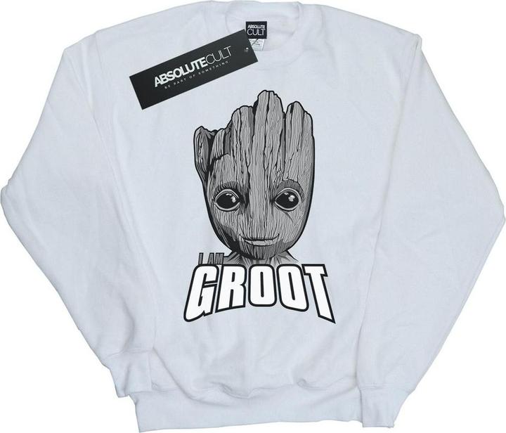 Guardians Of The Galaxy Groot Face Sweatshirt Mädchen