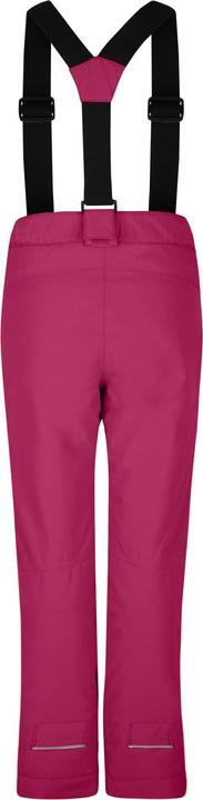 Produktbild Dare2b Motive Skihose (158)