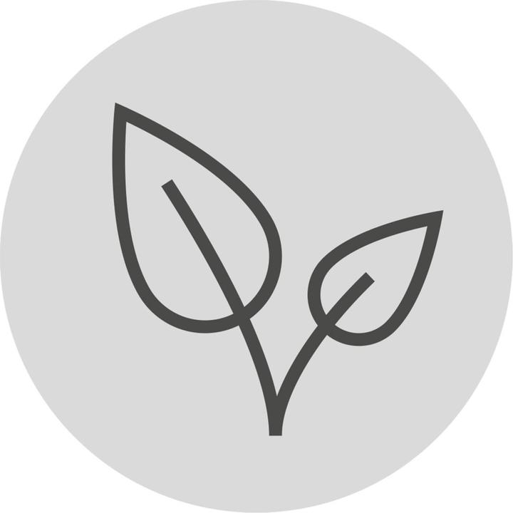 Image du produit WMF Impulse (0.30 l)