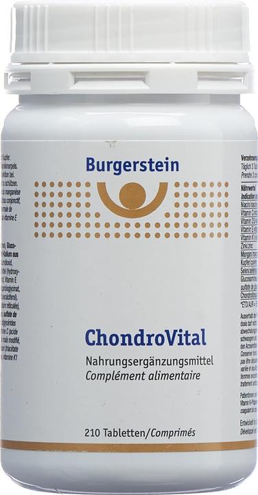 Produktbild Burgerstein Chondrovital (1 Stück, Tabletten, 328 g)