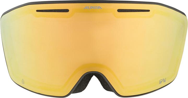 Produktbild ALPINA SPORTS Nendaz QV