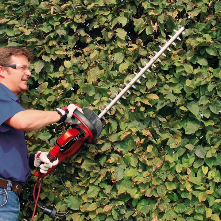 Actual product image Einhell Ge-Eh 6560 (Electric hedge trimmer)