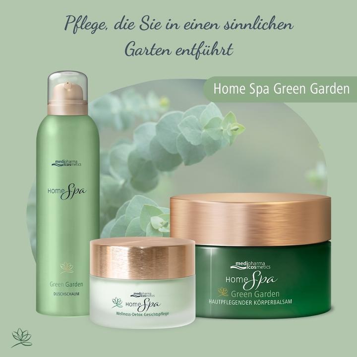 Immagine prodotto Dr. Theiss Home Spa Wellne Detox Gesi, 50 ml CRE (50 ml)