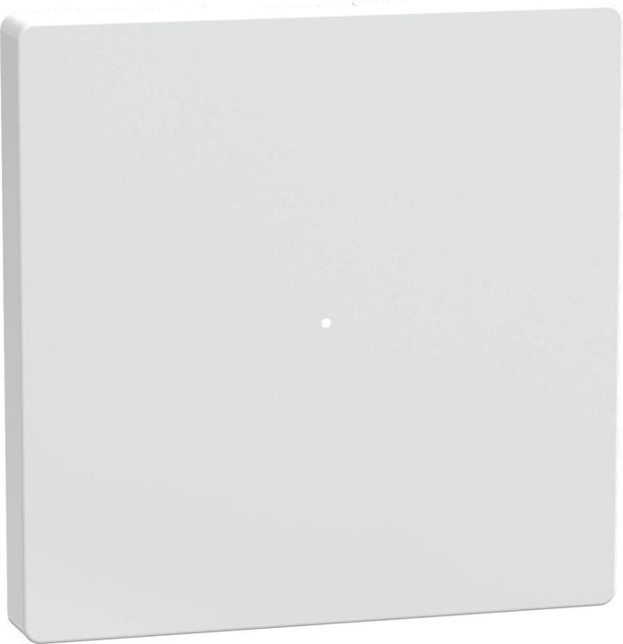 Merten Rocker for push-button module 1gang, lotus white, MEG5210-6035