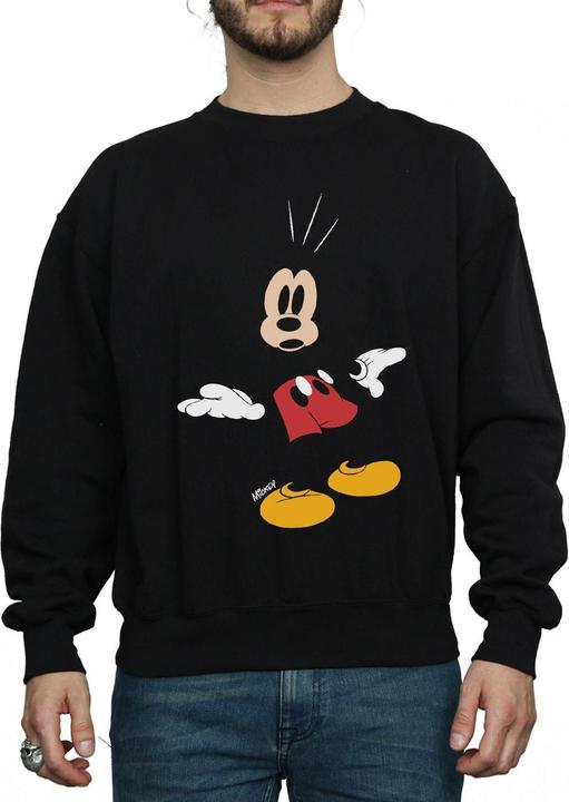 Actual product image Disney Sweatshirt (M)