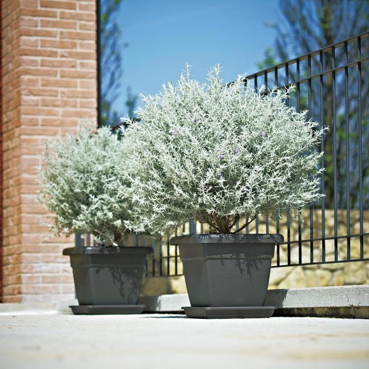 Actual product image Euro3plast Planter (46 cm)