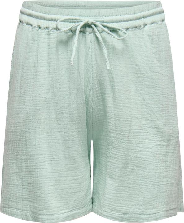 Only CARTHYRA Hohe Taille Normal geschnitten Shorts Shorts