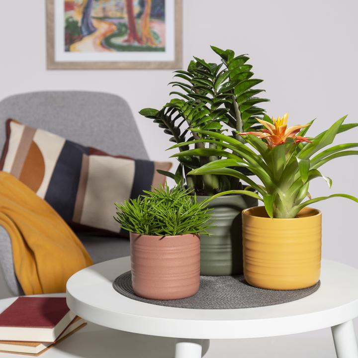Produktbild Scheurich Cottage, Blumentopf aus Keramik, Farbe: Curcuma, 14,2 cm Durchmesser, 12,8 cm hoch, 1,5 l (14.20 cm)
