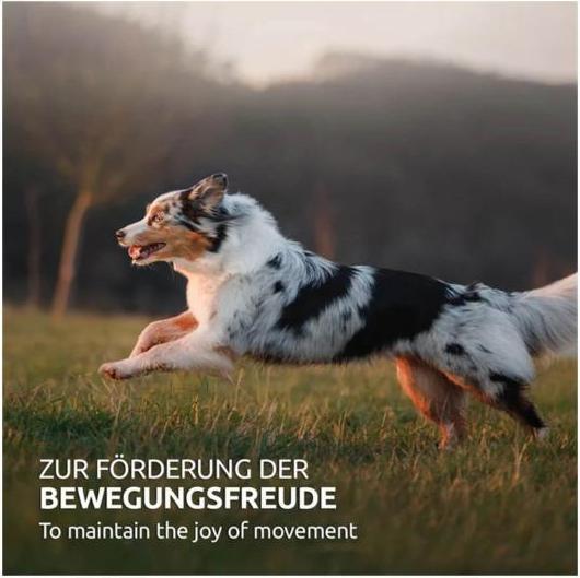 Produktbild AniForte Hagebutten Pulver (Adult, 1 Stk., 250 g)