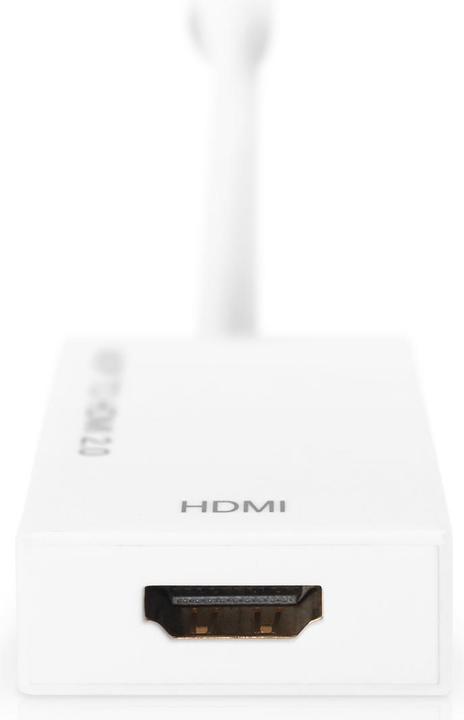 Image du produit Digitus Adaptateur/convertisseur Mini DisplayPort actif,DP-HMDI (HDMI, Mini DP, 20 cm)