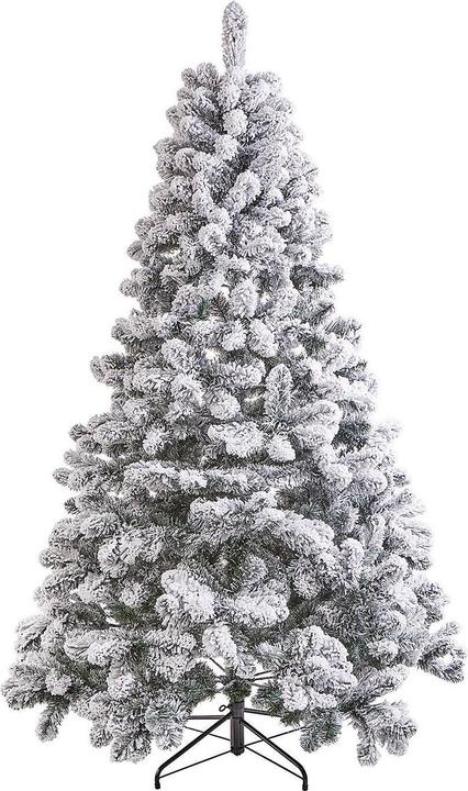 Actual product image home24 Tree Of The Month