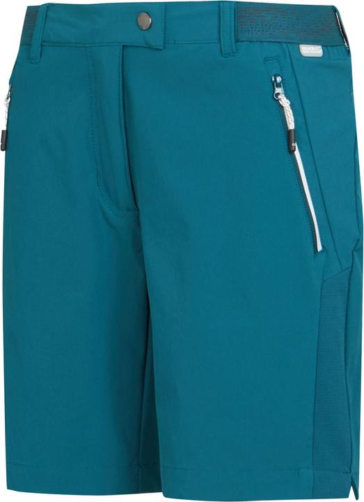 Actual product image Regatta Womens/Ladies Mountain II Shorts (46 D)