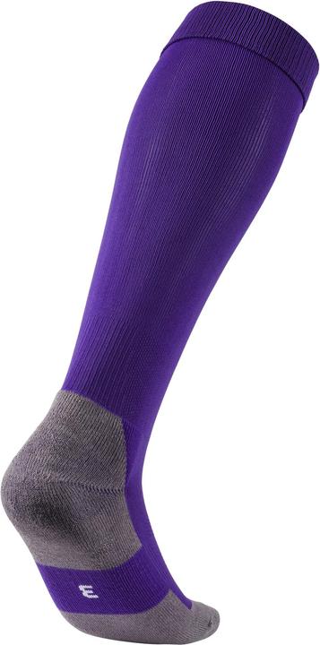 Actual product image Puma Team LIGA Socks CORE-703441 (31, 34)