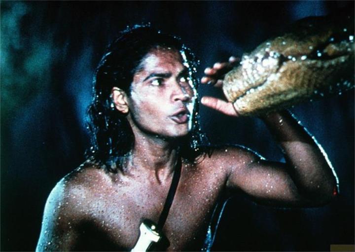 Immagine prodotto Plaion Il libro della giungla (Blu-ray, 2022, Tedesco, Inglese)