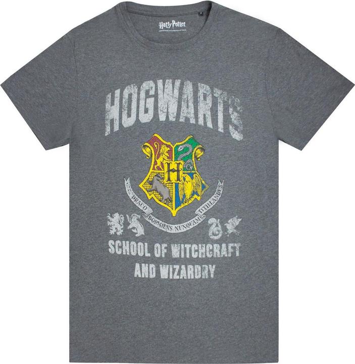 Image du produit T-shirt (L)