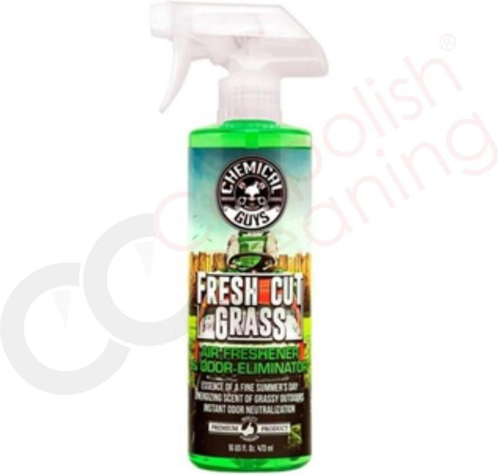 Actual product image Chemical Guys Fresh Cut Grass - car fragrance summer