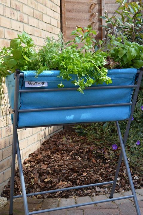 Immagine prodotto VegTrug Poppy
