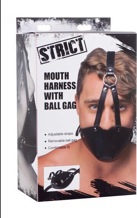 Image du produit XR Brands Lune Masker Met Ballgag