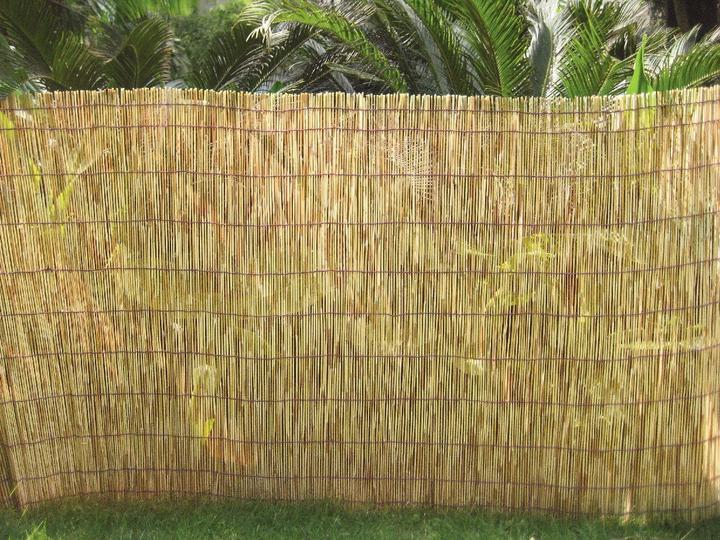 Produktbild Do it + Garden Schilfrohrmatte (500 cm)